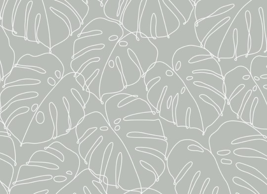 Hovia TR5049GR04R Deliciosa - tapeta w liście monstery