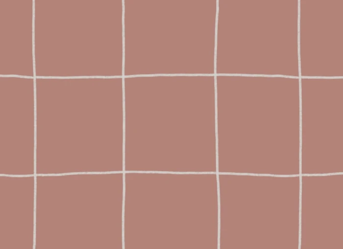 c9cc0c500fdf9c6fb8a27bc7ca3e89d6