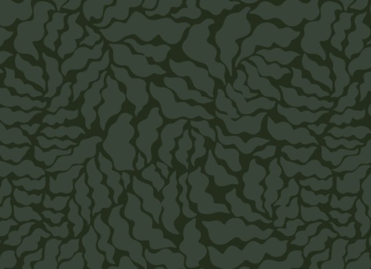 Hovia NA5009GR06R Azolla Dark - tapeta w liście paproci