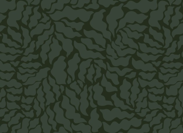 Hovia NA5009GR06R Azolla Dark - tapeta w liście paproci