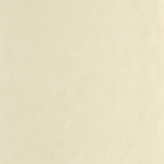 Casadeco 201271221 Vegetals Tarrazu Beige sable – tapeta o wzorze tkaniny z liści