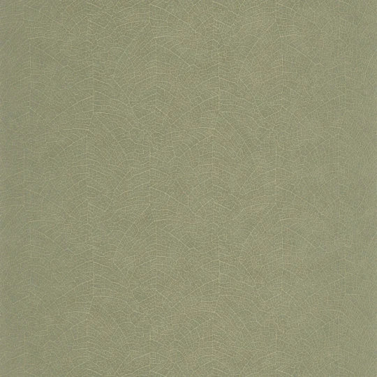 Casadeco 201287373 Vegetals Nola Vert eucalyptus – tapeta w użyłkowanie liścia