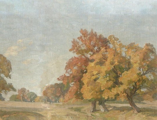 Boras Tapeter 9668W Studio Landscape Hedgerow Orange – mural jak obraz z krajobrazem drzew