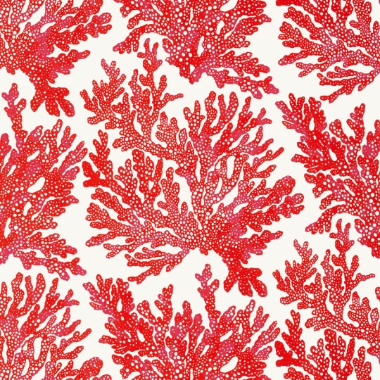 Thibaut T10120 Tropics Marine Coral Coral - tapeta w motyw koralowca