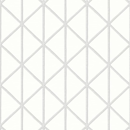 Thibaut T10135 Tropics Box Kite Grey - tapeta w kratownicę