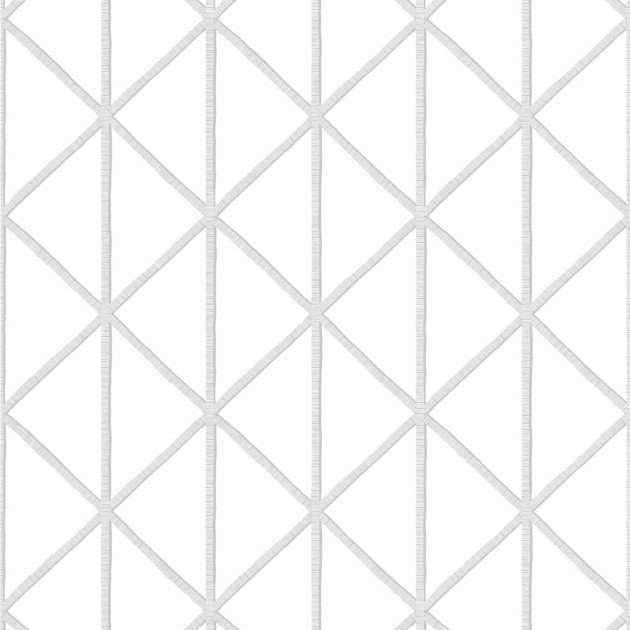 Thibaut T10135 Tropics Box Kite Grey - tapeta w kratownicę