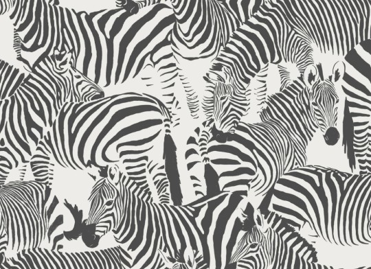 Hovia AN5035BW04R Dazzle Black & White - tapeta w zebry
