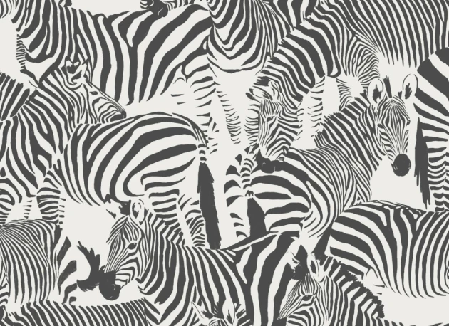 Hovia AN5035BW04R Dazzle Black & White - tapeta w zebry