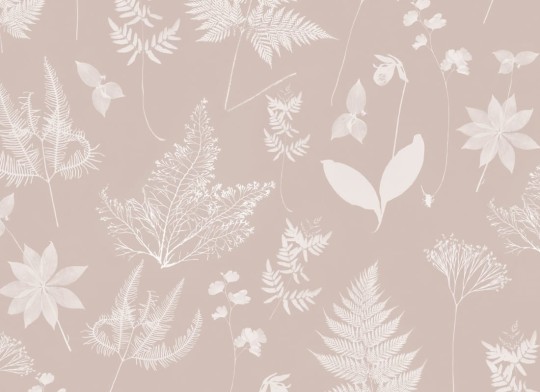 Hovia BT5004PI04R Botany Pink - tapeta w roslinny wzór