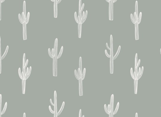 Hovia RP5084GR03R Sonoran Sage - tapeta w kaktusy