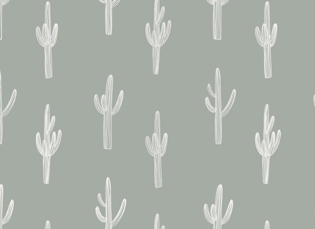 Hovia RP5084GR03R Sonoran Sage - tapeta w kaktusy