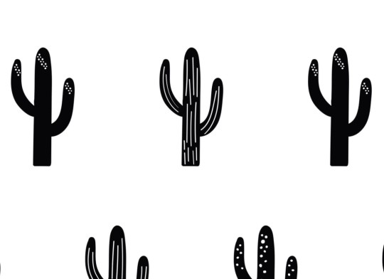 Hovia CH5017BW02R Saguaro Black - minimalistyczna tapeta w kaktusy