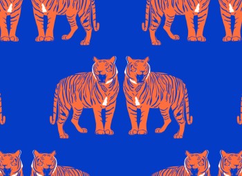 e528a9c807d7602841acec2becba9b66