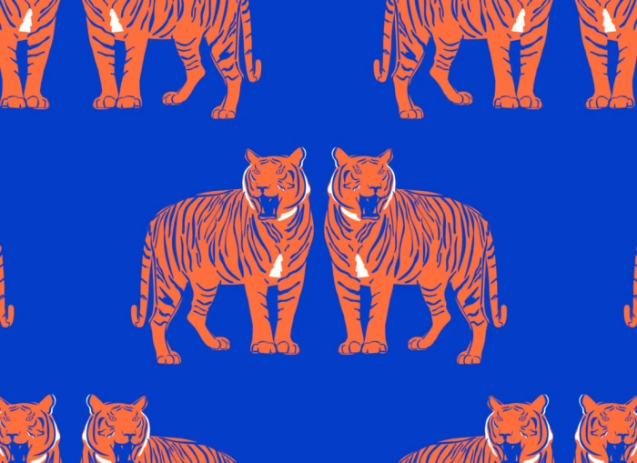 e528a9c807d7602841acec2becba9b66