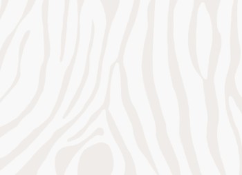 8084afdb26663e25e1e2aa28fa8e4798