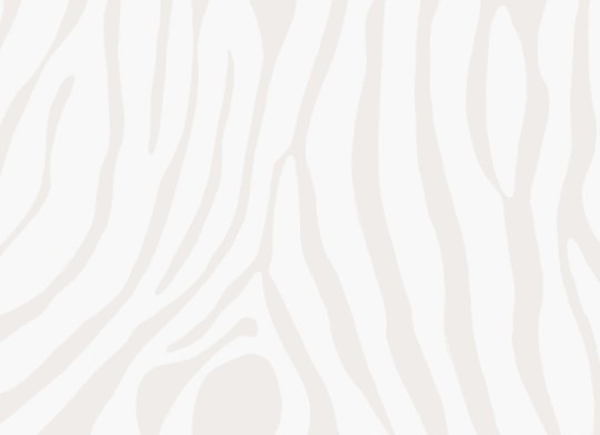 Hovia AN0005GE03W Untamed Off White - mural w print zebry
