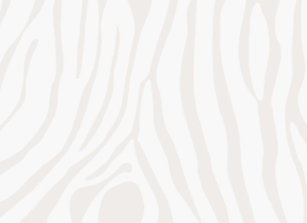 Hovia AN0005GE03W Untamed Off White - mural w print zebry