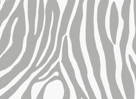 Hovia AN0006GE03W Untamed - mural w print zebry