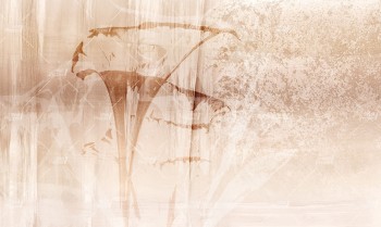 08b8c3809f42fb1a0c660ae37f5e3900