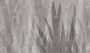 5abf9a728636b8096ac4cd8a4deb79cc