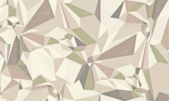 Wallpepper KR-07 B 2025 Kusp - mural w geometryczny wzór