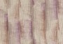 66694ce7dea44568afb50b16132a6649