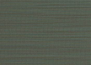 4ae1d8619d8f14f01aaf67ed5a64e9b4