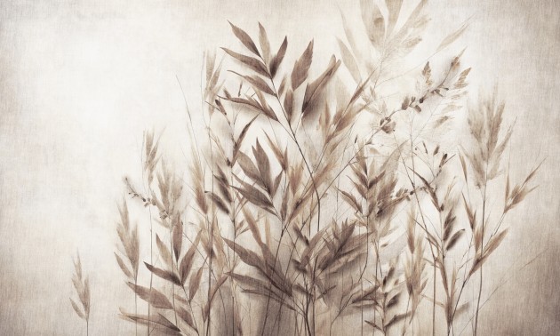 Dekorami Agosto 2 - mural w polne trawy