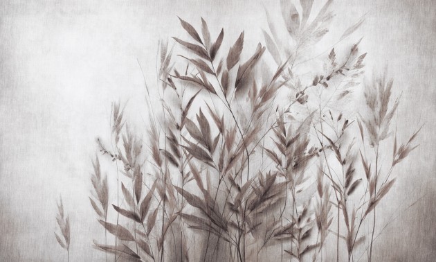 Dekorami Agosto 3 - mural w polne trawy