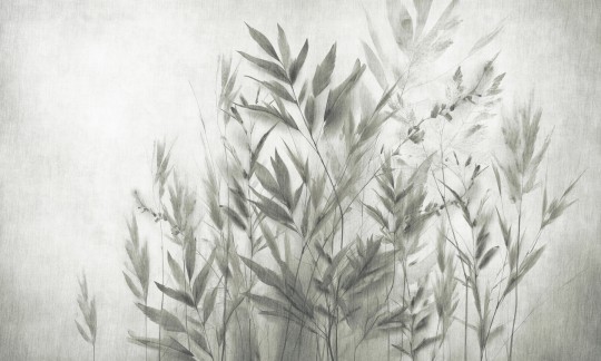 Dekorami Agosto 4 - mural w polne trawy