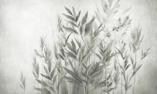 Dekorami Agosto 4 - mural w polne trawy