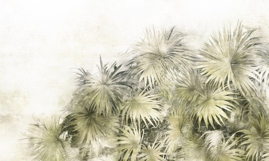 Dekorami Desiree 3 - mural w liście palm na betonowym tle