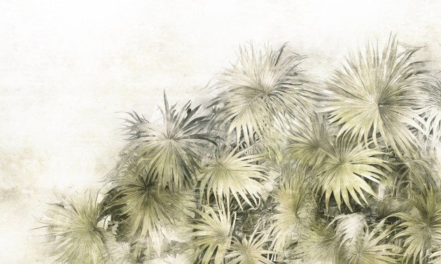 Dekorami Desiree 3 - mural w liście palm na betonowym tle