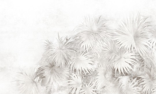 Dekorami Desiree 4 - mural w liście palm na betonowym tle