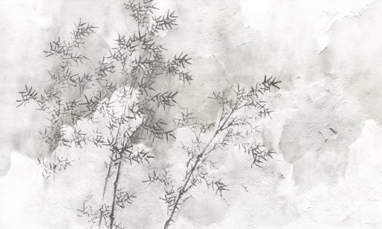 Dekorami Echo 3 - mural w gałęzie na betonowym tle