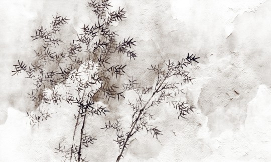 Dekorami Echo 4 - mural w gałęzie na betonowym tle