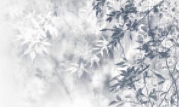 9f2d801c15270d63b9f2f54528dc88fa