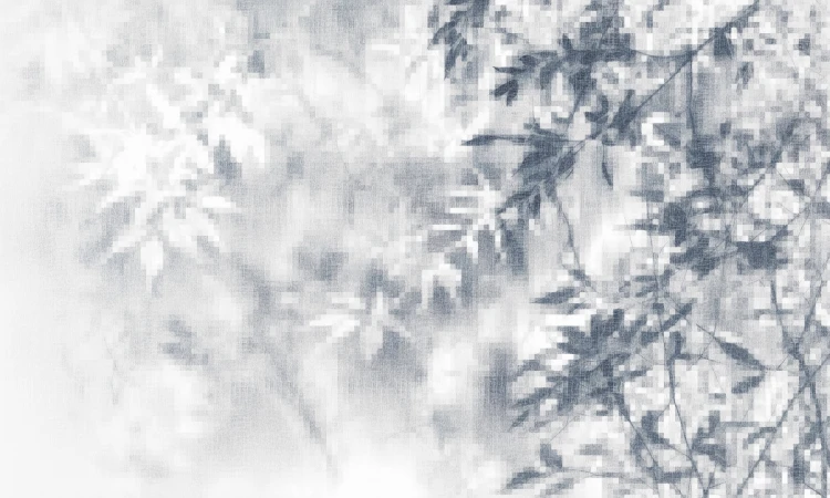 9f2d801c15270d63b9f2f54528dc88fa