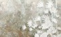 9397a09456d6a2a96359cbe1427fd89f
