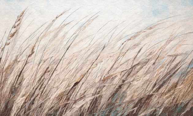 Dekorami Shum 1 - mural w zboże