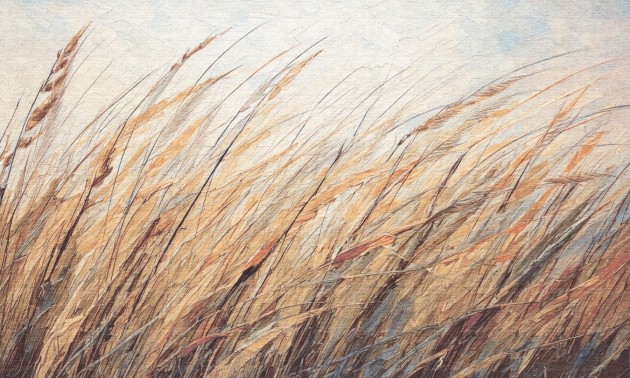 Dekorami Shum 2 - mural w zboże