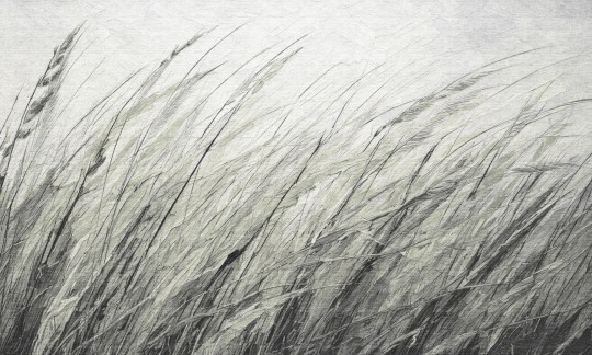 Dekorami Shum 3 - mural w zboże