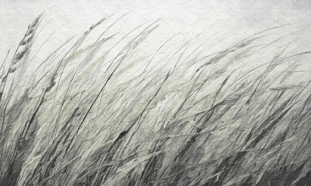 Dekorami Shum 3 - mural w zboże