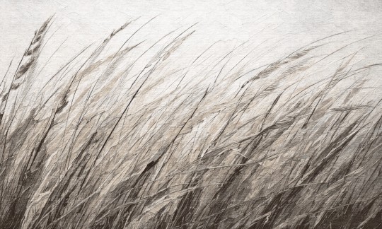 Dekorami Shum 4 - mural w zboże