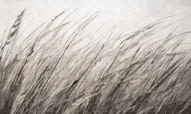 Dekorami Shum 4 - mural w zboże