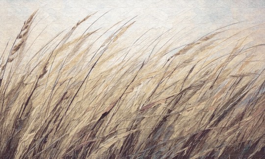 Dekorami Shum 5 - mural w zboże