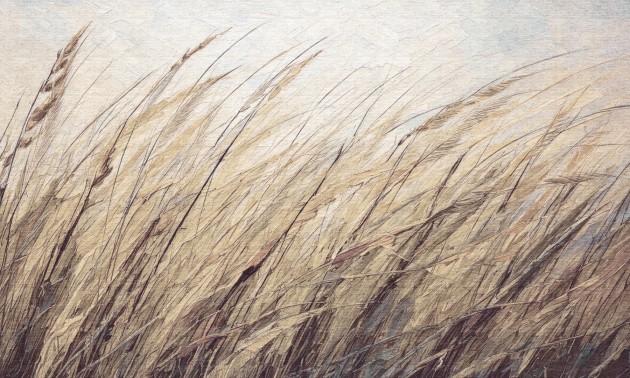 Dekorami Shum 5 - mural w zboże