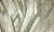 fe92319b4c77b6c9874fe6a6a6c12cf5