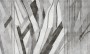 5f97a3e566bc8204a7e5eee04e391ee7