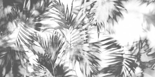 Dekorami Sol Y Sombra 3 - mural w liście palm